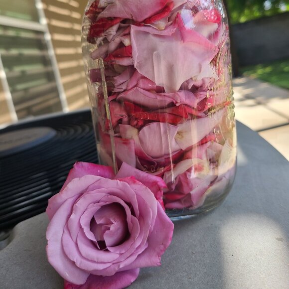 Meet your Posher, Tamara - Picture 2 of 8